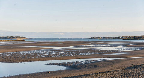 A wide view of Cape Cod Bay at low tide from the shore, wet sand flats stretching toward calm blue water under a pale morning sky.